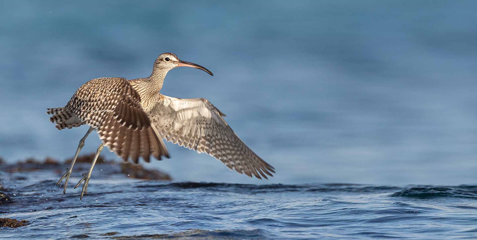 Фото: архив ККЛ-ЕНФ