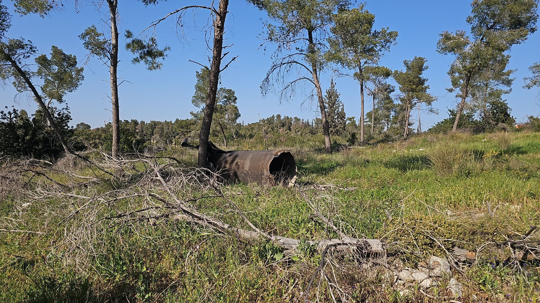 Фото: ККЛ-ЕНФ