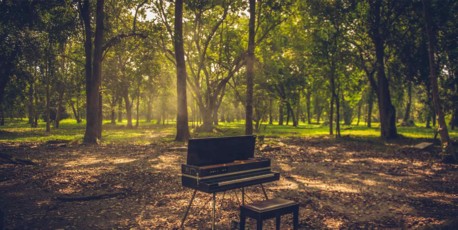 Мы приглашаем всех желающих на природу, по всей стране - с севера до юга, не пропустите наши мероприятия и насладитесь этим августом вместе с нами.