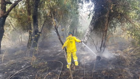 Мы надеемся, что при помощи всех этих технологий, знания и опыта нам удастся еще больше сократить число лесных пожаров в Израиле