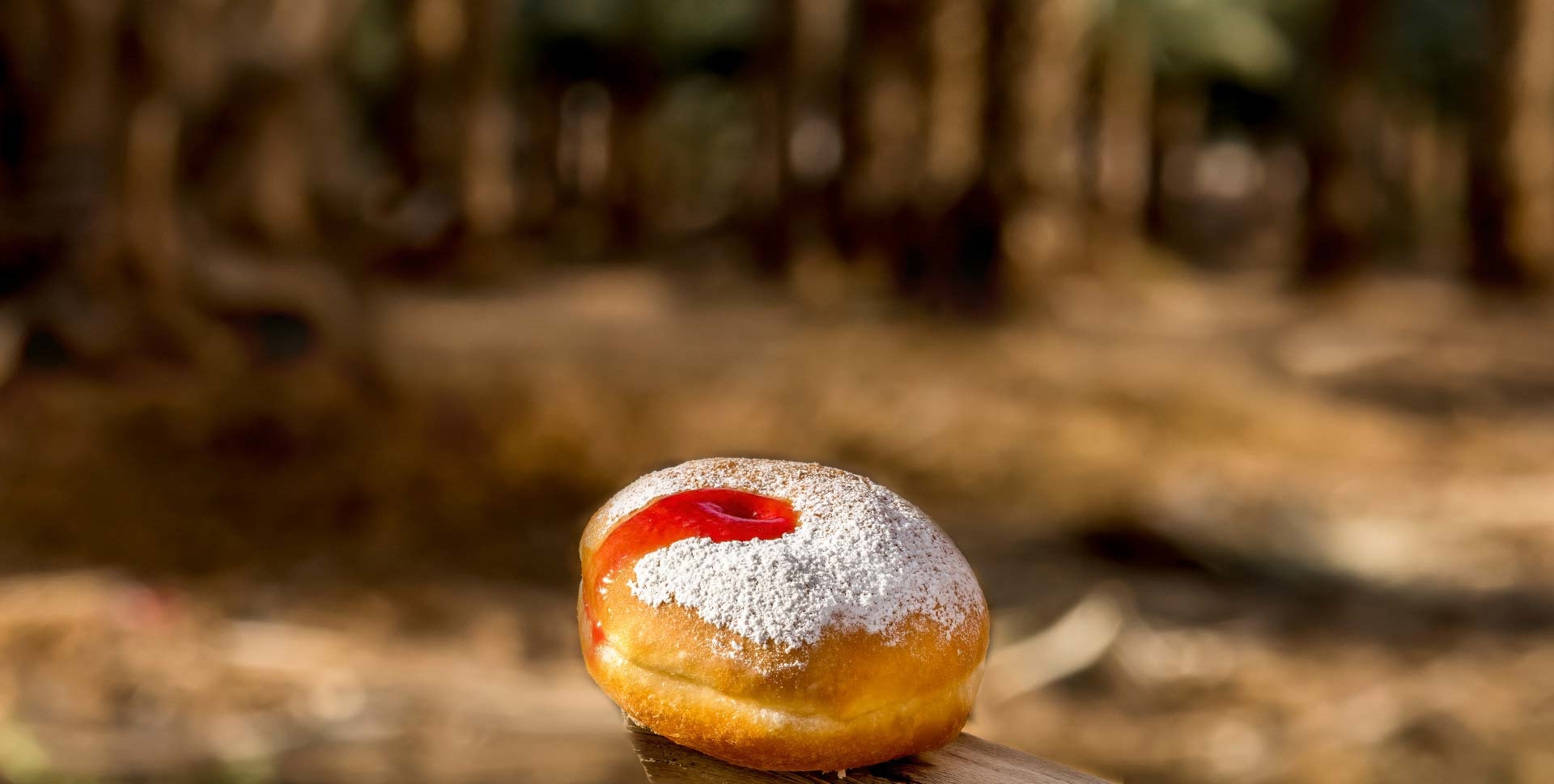 Празднуем Хануку – мероприятия ККЛ-ЕНФ для всей семьи