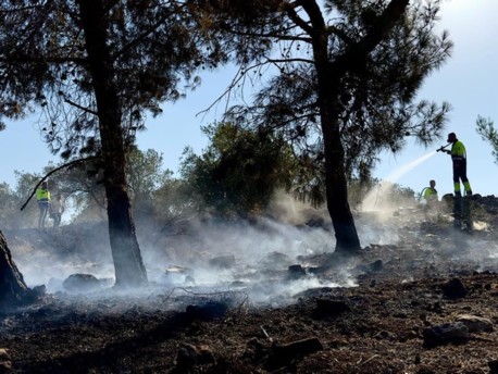 Мы призываем всех вести себя ответственно и благоразумно, чтобы не допустить пожаров