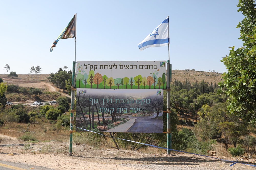 открылась  самая длинная прогулочная аллея  по лесопарку