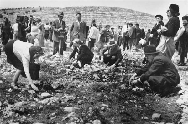 Фото: Авраам Малевский (фотоархив ККЛ-ЕНФ)