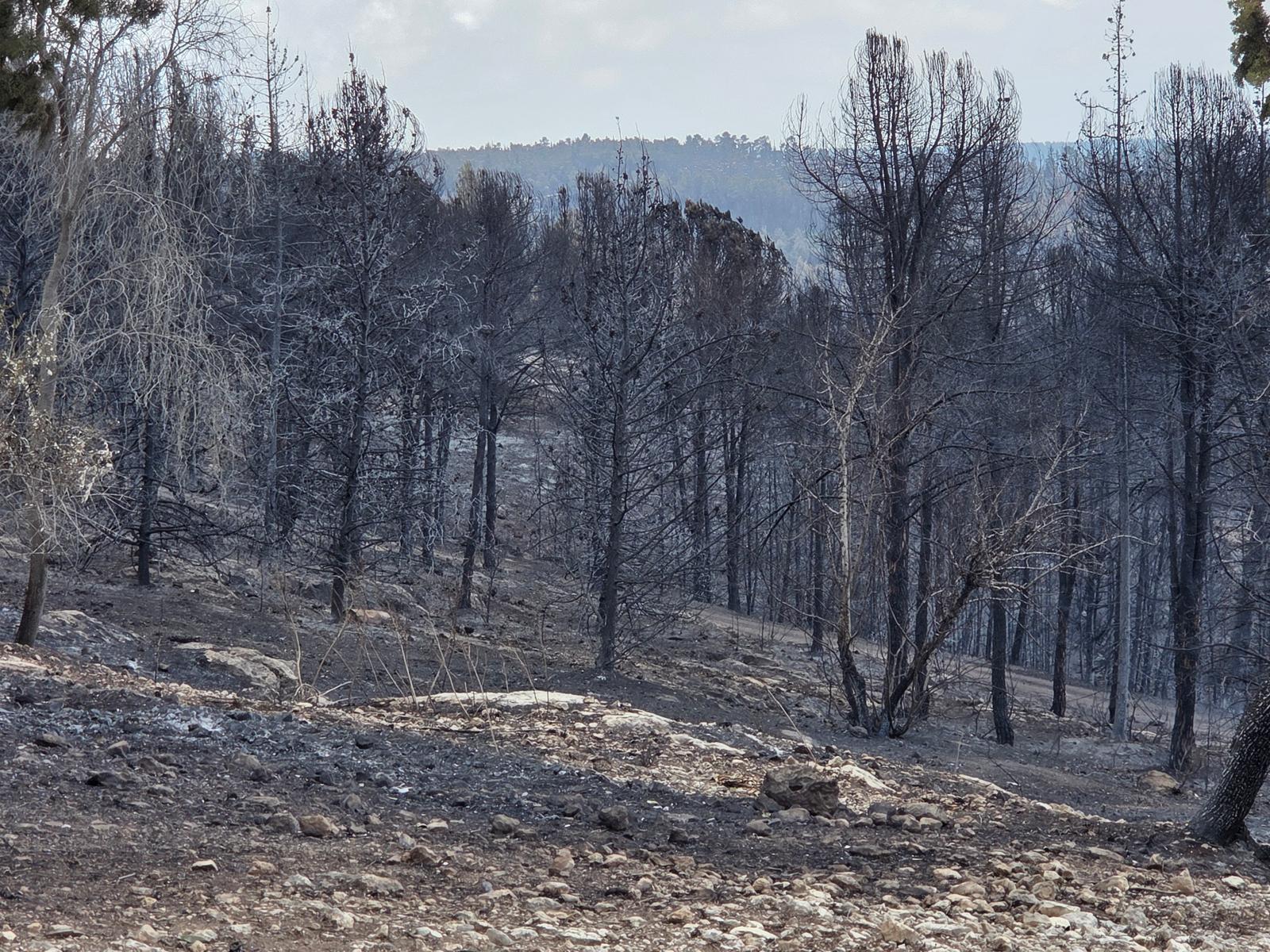 Фото: Эйнат Бахат (фотоархив ККЛ-ЕНФ)