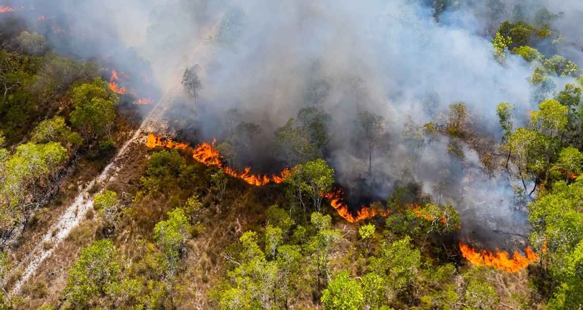 Фото: Shutterstock