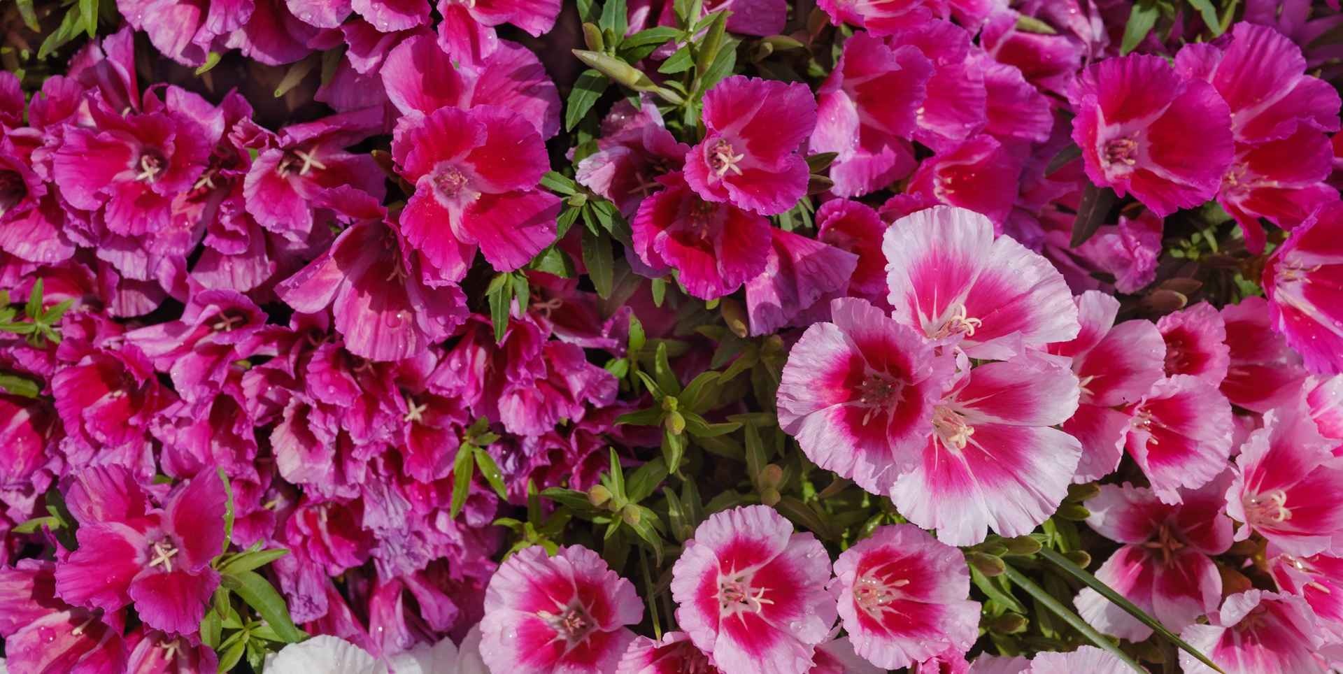 Фото: Shutterstock