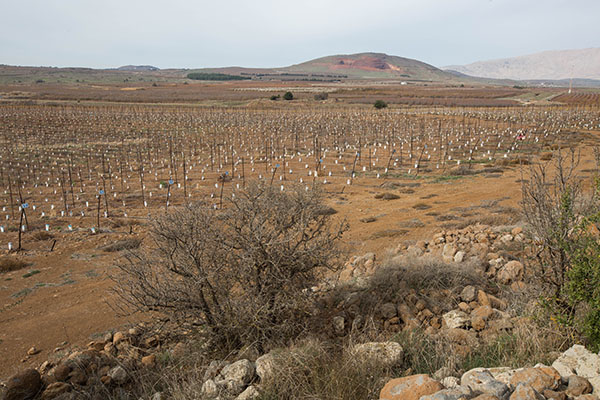 фото: агентство Джини, архив фотодокументов ЕНФ-ККЛ