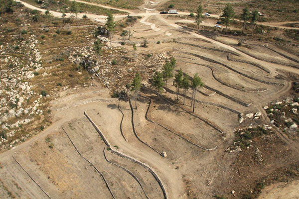 На снимке: восстановленные террасы в Нир-Эцион, вид с высоты птичьего полета, фото: Департамент лесоводства ЕНФ-ККЛ