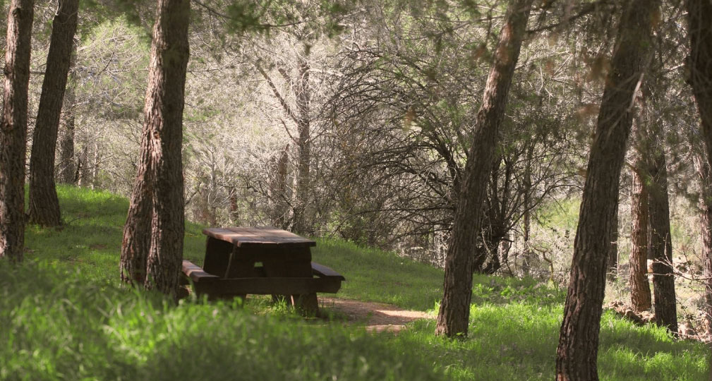 фото: архив фотодокументов ЕНФ-ККЛ