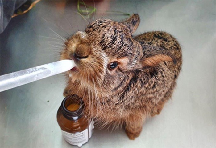 תמונה מתוך התערוכה.
צילום: עינבר שלומית רובין, קקל