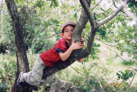 עזרו לנו להגן על העצים. צילום: פנינה לבנון