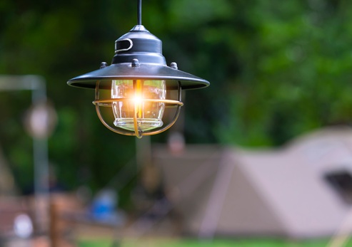 Фото: Shutterstock