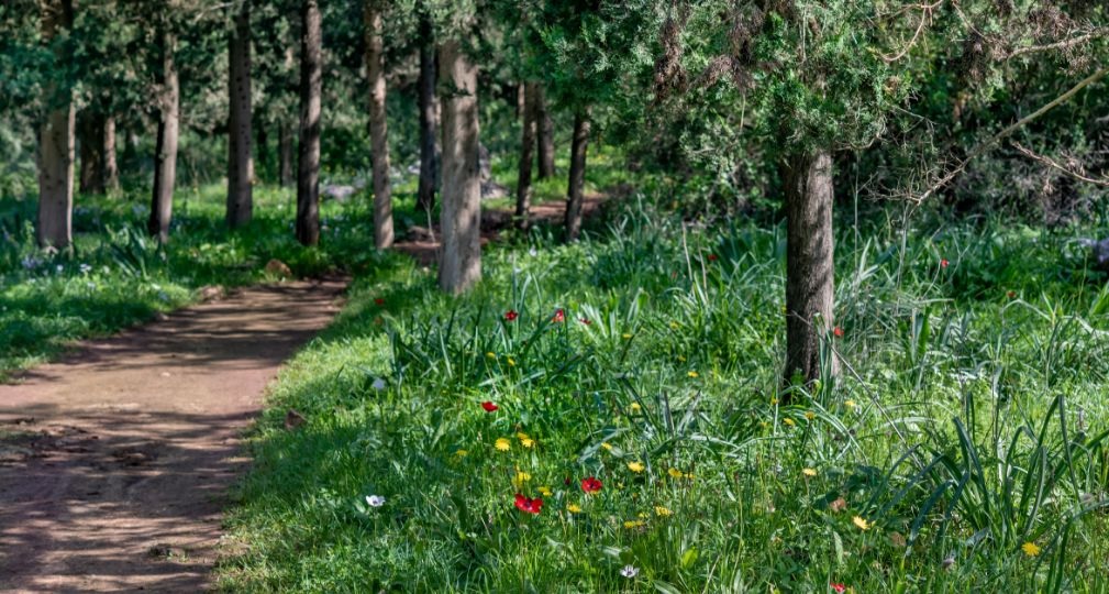 Фото: Shutterstock