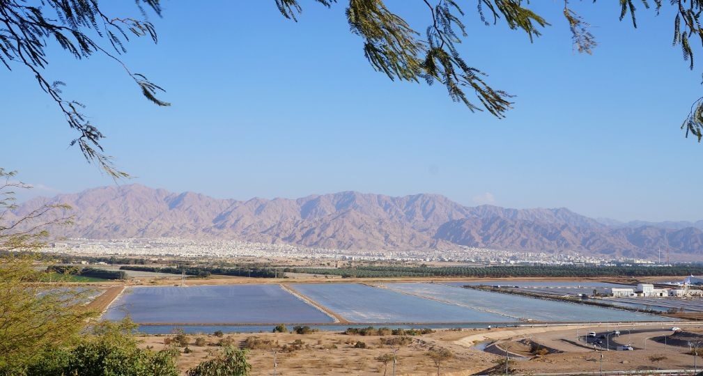 Фото: Shutterstock