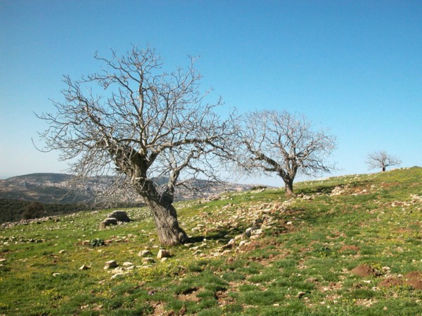 Текст и фото: Яаков Школьник.