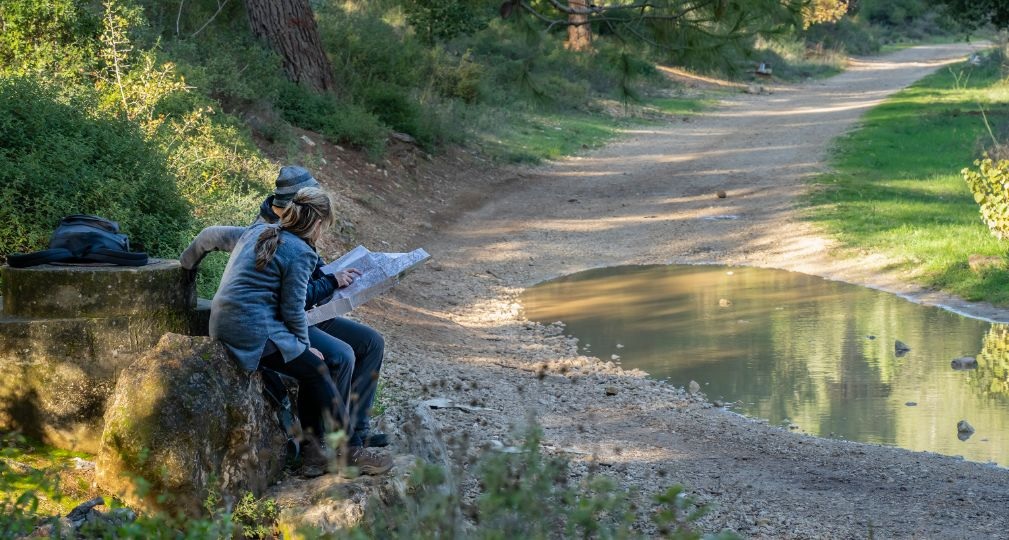 Фото: Shutterstock